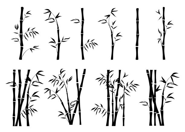 ilustrações, clipart, desenhos animados e ícones de conjunto de vetor de silhuetas de bambu - bamboo