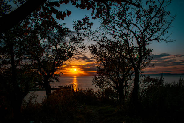 istock View of the sea from a high cliff during sunset. 1555601772