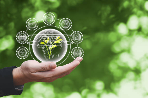 istock man hold the global to save energy,and reduce global warming,climate change,ecology friendly investment,ESG environment social governance,Green Business Innovation and Sustainable Development concept. 1555606596