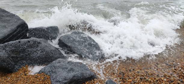 istock Crashing to the Shore 1555616362