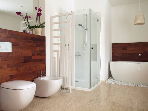 istock African style contemporary bathroom 155563567