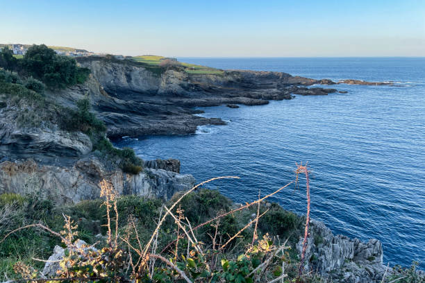 istock Sunset over the sea 1555638299