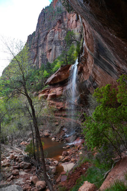 istock Waterfall at the Lower Emerald Pool in Zion National Park 1555640967