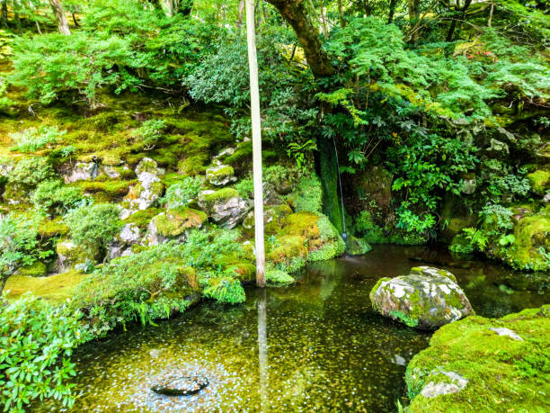 istock Japan Landscape Nature Life Travel 1555641476