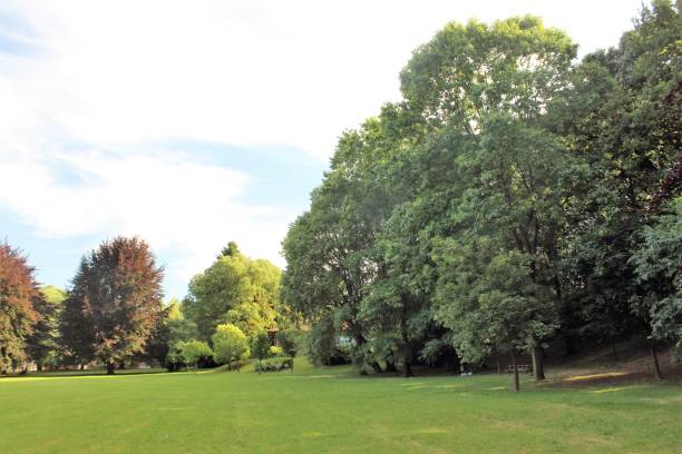 istock very green city park in Italy 1555676151
