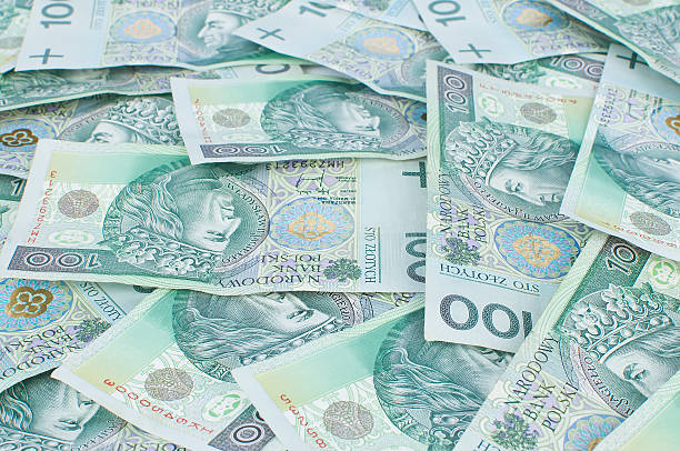 istock Lots of Polish money 155567905