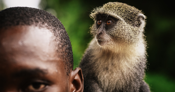 Close up of a Little Cute Monkey Resting on the Shoulder of his African Male Owner. Authentic Shot Showing the Beauty of Nature, the Respect of Animals, and the Importance of Different Species