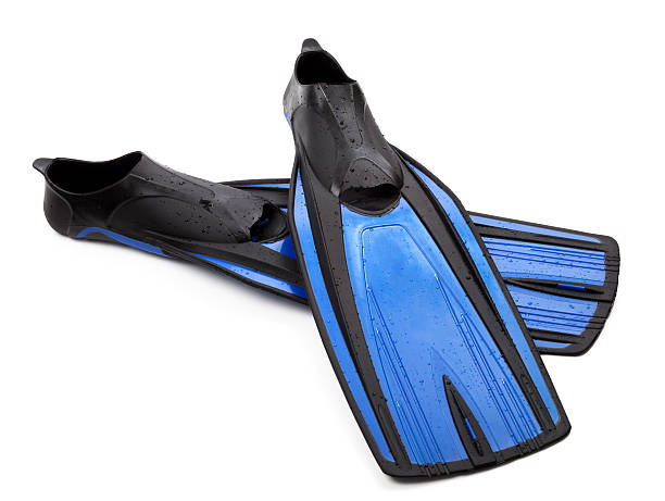 istock Two flippers for diving with water drops 155568827