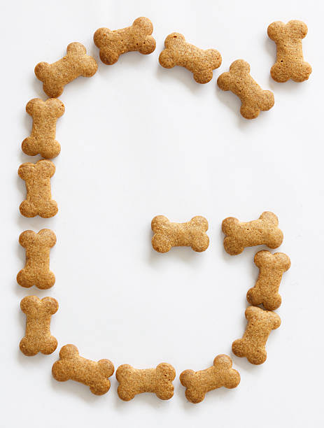 istock Bone Shape Dog food Letter G 155568867