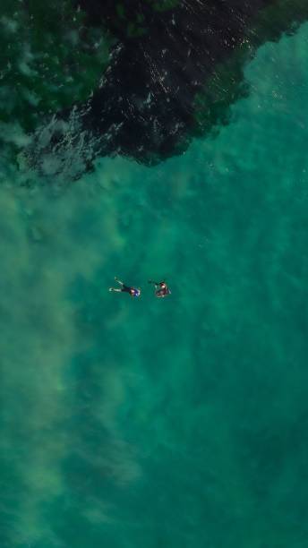 istock People enjoying the sun and waves, standing on their surfboards 1555691582