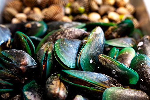 Close-up of freshly prepared steamed mussels. They are seasoned with parsley, garlic and olive oil.