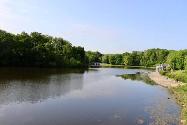 istock Lake in the Park 1555716705