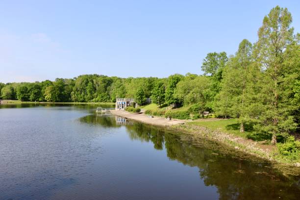 istock Peaceful Lake in the Park 1555725244