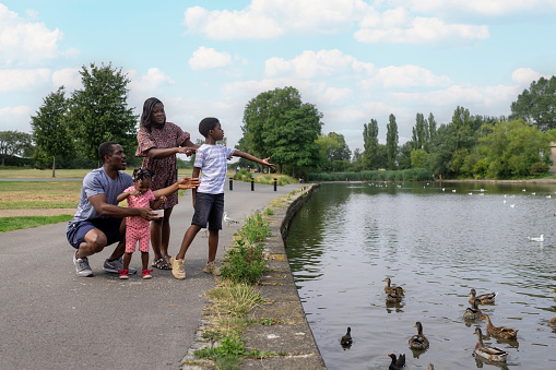 A young family feed ducks at the side of a pond at their local nature reserve on a summer's day. they are enjoying a family day out together.
