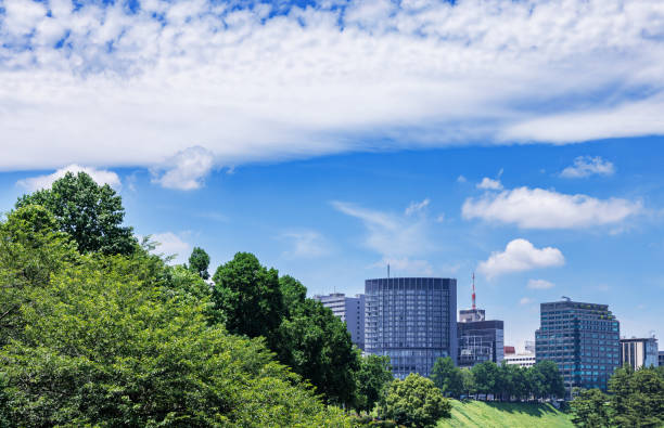 istock Beautiful blue sky and city buildings 1555758045