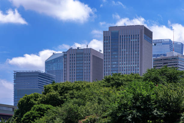 istock Beautiful blue sky and city buildings 1555761320