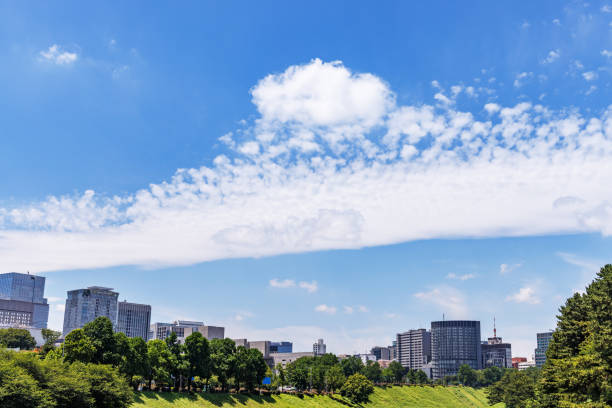 istock Beautiful blue sky and city buildings 1555761325
