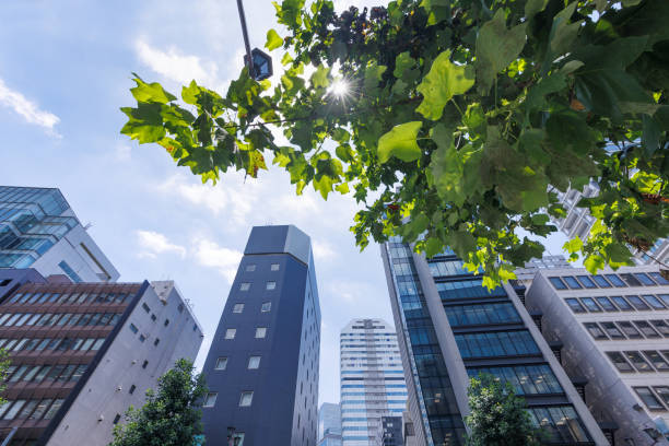 istock Beautiful blue sky and city buildings 1555770982