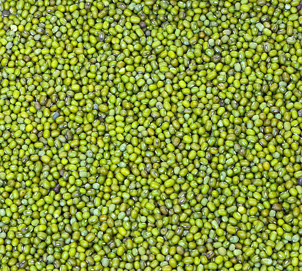 Mung bean closeup background stock photo