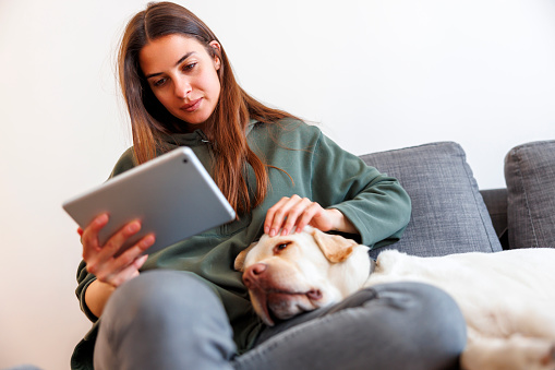 Beautiful young woman enjoying leisure time at home, sitting at living room couch and reading an ebook with her dog lying next to her