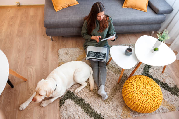 istock Woman working remotely from home using laptop computer with her pet dog 1555819822