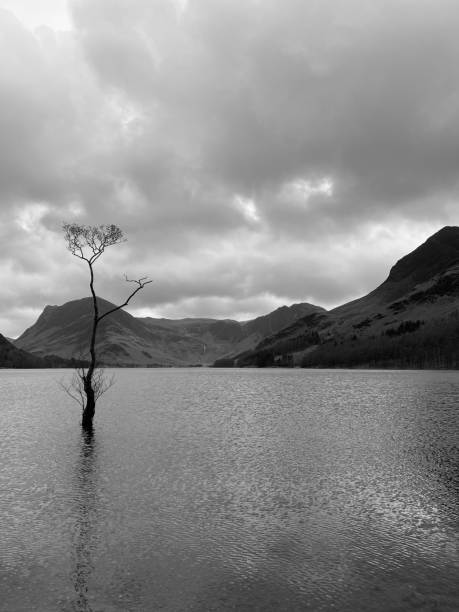 istock Lake Buttermere in Cumbria 1555821552