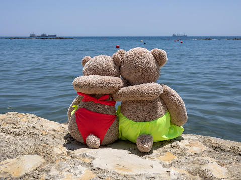 Two hugging teddy bears in swimsuits sitting on big rock in front of the sea