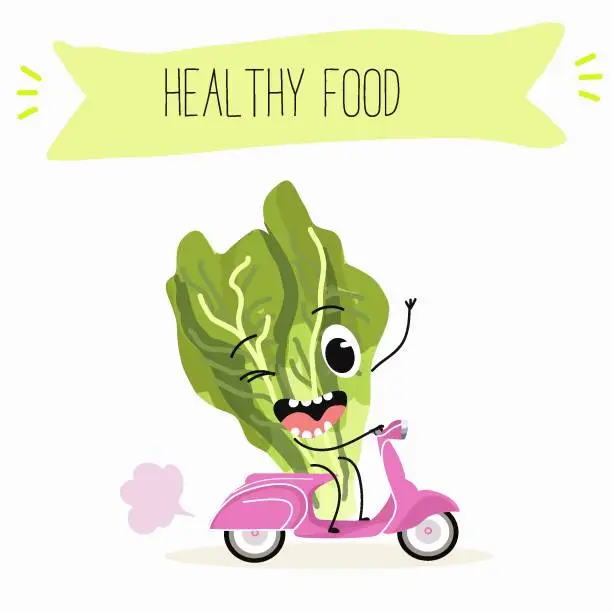 Vector illustration of Illustration with funny cartoon characters romano, lettuce,iceberg, salad, vegetable. Funny and healthy food. Vitamins, cute face food, ingredients, vegetarian, vector cartoon.