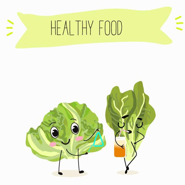 Illustration with funny cartoon characters romano, lettuce,iceberg, salad, vegetable. Funny and healthy food. Vitamins, cute face food, ingredients, vegetarian, vector cartoon. Illustration with funny cartoon characters romano, lettuce,iceberg, salad, vegetable. Funny and healthy food. Vitamins, cute face food, ingredients, vegetarian, vector cartoon. romano cheese stock illustrations