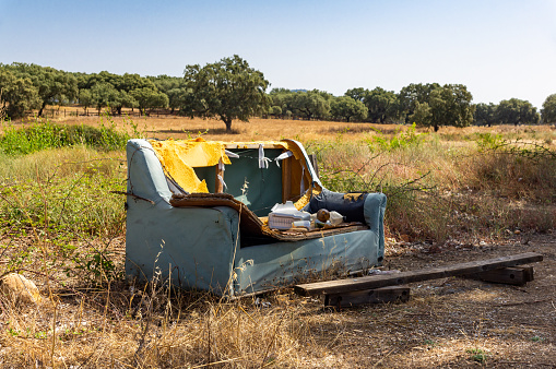 Deteriorated sofa abandoned in a meadow full of holm oaks in the sunlight on a clear day.