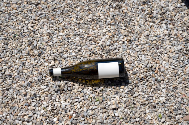 istock An empty bottle on the gravel 1555887025