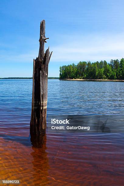 Foto de Árvore Morta Se Na Bela Águas De Clear Lake e mais fotos de stock de Antigo - Antigo, Apodrecer, Azul