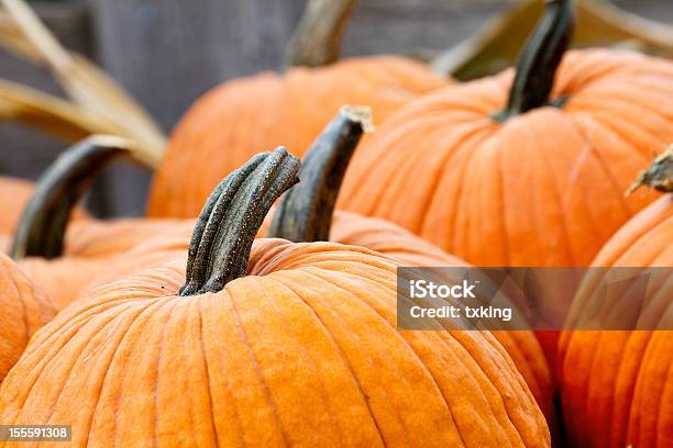 Pumpkins Stock Photo - Download Image Now - Autumn, Crop - Plant, Food