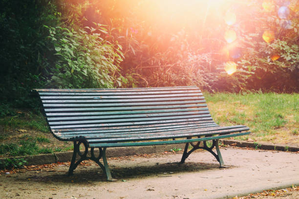 Wooden bench in the city park
