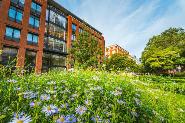 istock Green city park in London 1555913368