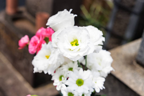 istock Beautiful Buddha flowers offered at the grave 1555915365