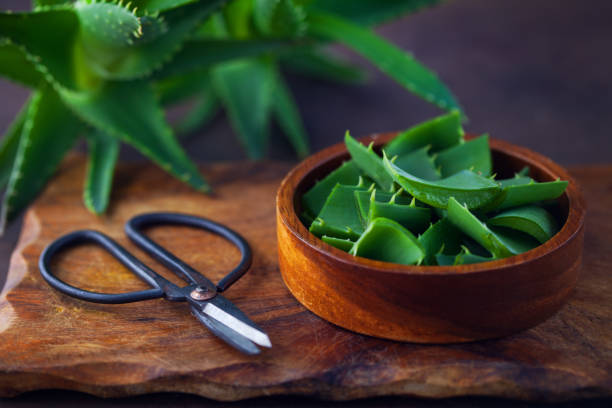 aloe vera aloe vera on dark background - alternative medicine aleo vera stock pictures, royalty-free photos & images