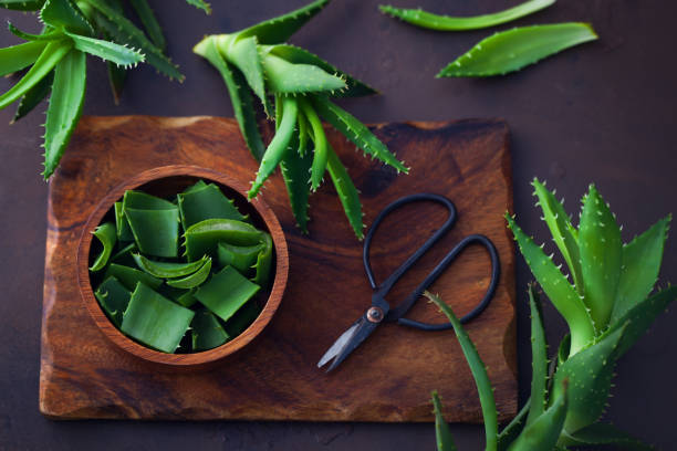 aloe vera aloe vera on dark background - alternative medicine aleo vera stock pictures, royalty-free photos & images