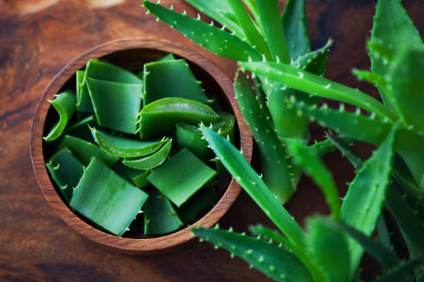 aloe vera aloe vera on dark background - alternative medicine aleo vera stock pictures, royalty-free photos & images