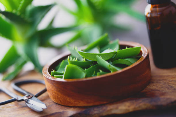 aloe vera aloe vera on dark background - alternative medicine aleo vera stock pictures, royalty-free photos & images
