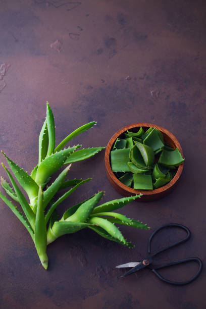 aloe vera aloe vera on dark background - alternative medicine aleo vera stock pictures, royalty-free photos & images