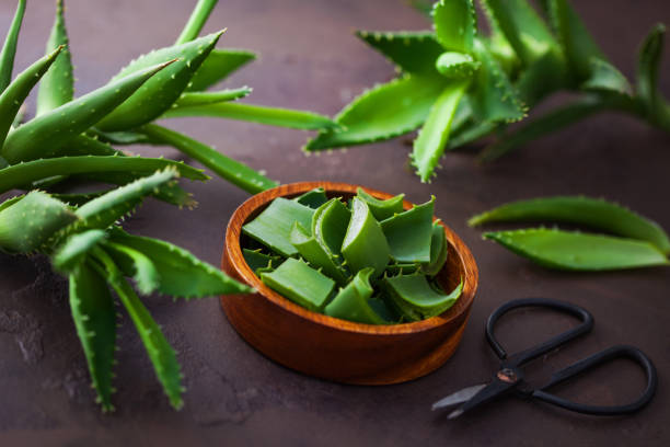 aloe vera aloe vera on dark background - alternative medicine aleo vera stock pictures, royalty-free photos & images