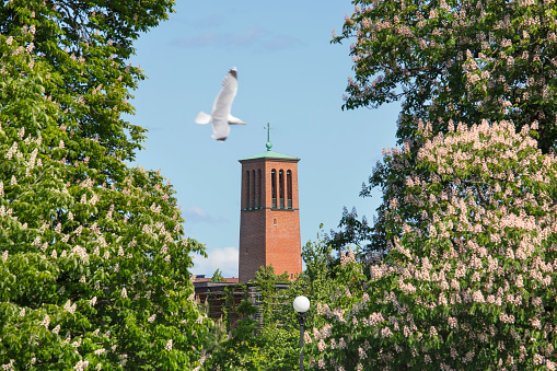 The bell tower of the catholic Christ the King Church (Kristus Konungens kyrka) in Gothenburg encircled by chestnut trees in bloom, as a seagull flies by.