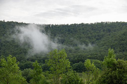 landscape in Baden Wuerttemberg with forests, deciduous and coniferous trees, fields, fog and low clouds on a cloudy summer day