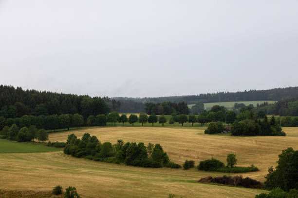 landscape in Baden Wuerttemberg with forests, deciduous and coniferous trees, fields, fog and low clouds on a cloudy summer day