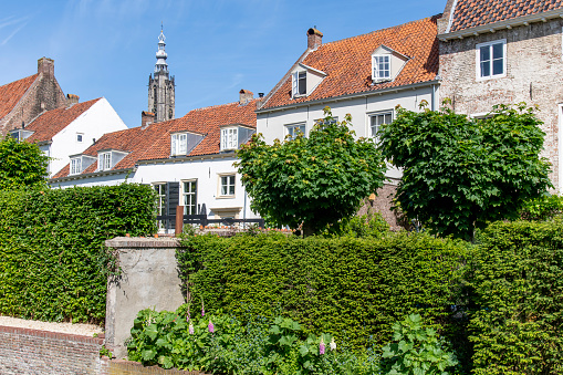 Amersfoort, the Netherlands-June 2022; Low angle view over de gardens in the back of some historic houses with in the background the late Gothic Onze-Lieve-Vrouwetoren (The Tower of Our Lady)
