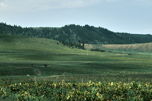 View of green mountain valley