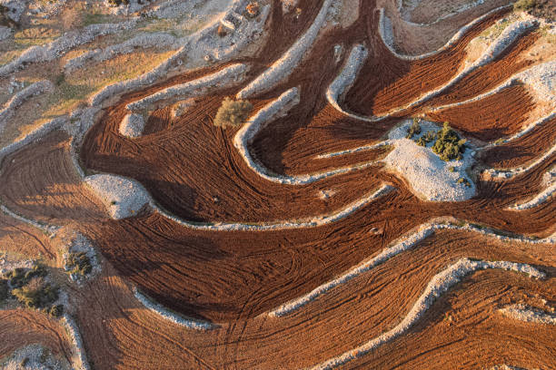 istock intricate patterns of a plowed field with terraces, harmoniously carved into the rolling hills, creating an awe-inspiring sight. Natural abstract background and textures 1555948079