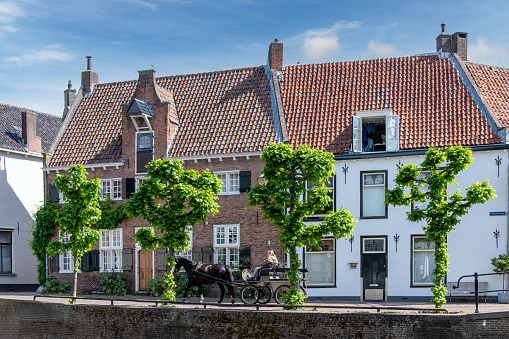Amersfoort, the Netherlands-June 2022; View of typical canal houses in the center of the city lined with trees and horse-drawn carriage passing by