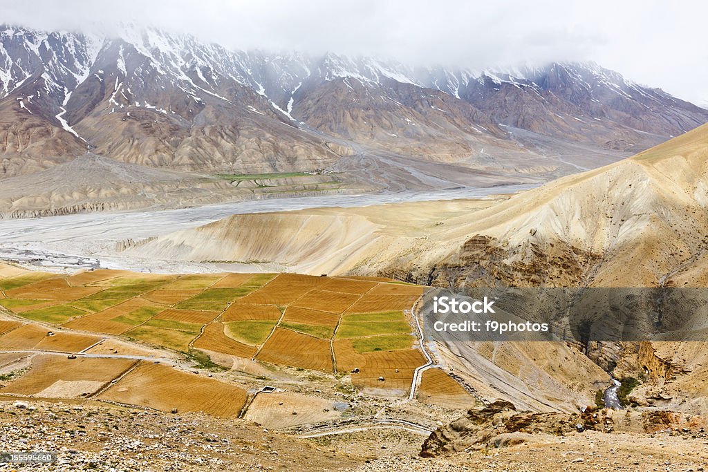 Fields in Spiti Valley Fields in Spiti Valley in Himalayas. Himachal Pradesh, India Agriculture Stock Photo